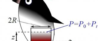 Calculation of the pressure created inside the penguin, due to which the shot will be fired.
