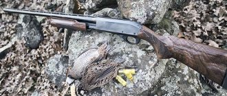 Remington 870: самое лучшее помповое ружьё в мире?